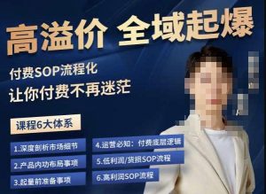 逸风-拼多多高溢价全域起爆,6大课程体系,付费玩法全套实操-资源云