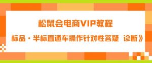 松鼠会电商VIP教程：松鼠《付费推广标品·半标直通车操作针对性答疑&诊断》-资源云