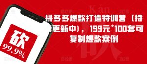 拼多多爆款打造特训营(持续更新中),199元*100套可复制爆款案例-资源云