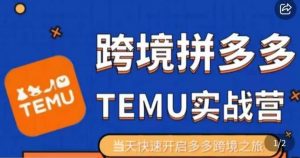 大鹏出海·拼多多跨境temu运营指导,开店注册+选品+核价上架,日出千单实战课-资源云