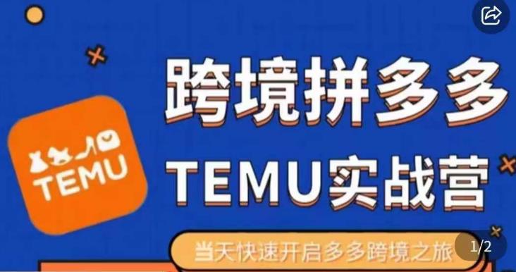 大鹏出海·拼多多跨境temu运营指导，开店注册+选品+核价上架，日出千单实战课-资源云