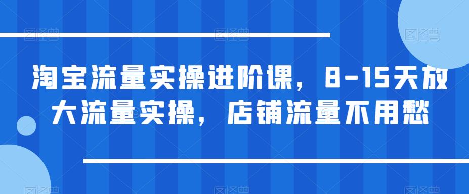 淘宝流量实操进阶课，8-15天放大流量实操，店铺流量不用愁-资源云