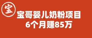 宝哥婴儿奶粉项目,6个月赚85w【图文非视频】【揭秘】-资源云