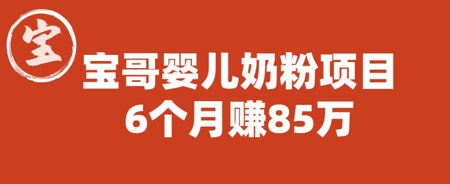 宝哥婴儿奶粉项目，6个月赚85w【图文非视频】【揭秘】-资源云