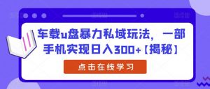 车载u盘暴力私域玩法,一部手机实现日入300+【揭秘】-资源云