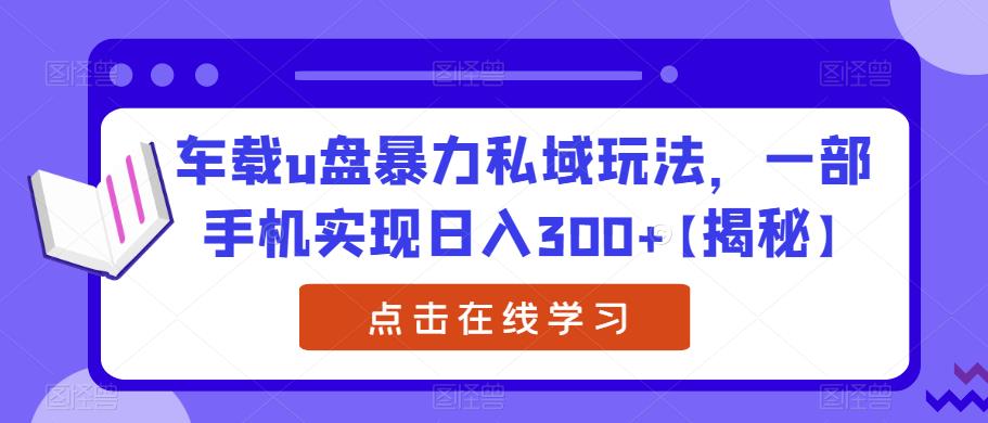 车载u盘暴力私域玩法，一部手机实现日入300+【揭秘】-资源云