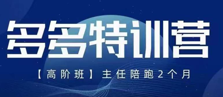 纪主任·5月最新多多特训营高阶班，玩法落地实操，多多全掌握-资源云
