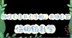 微信互推圈半自动引流方案,矩阵操作日引千人思路【详细视频教程】-资源云