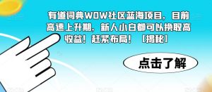 有道词典WOW社区蓝海项目，目前高速上升期，新人小白都可以换取高收益！赶紧布局！【揭秘】-资源云