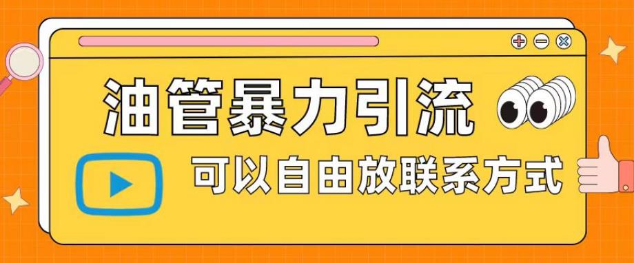 油管暴力引流，可以自由放联系方式【揭秘】-资源云