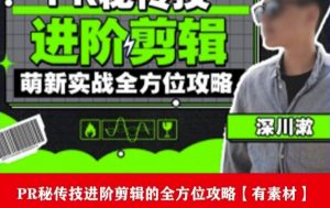 PR进阶剪辑培训班，让你快速成为剪辑大师12节视频课程+素材！-资源云