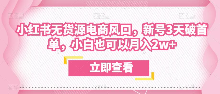 众狼电商余文小红书无货源电商风口，新号3天破首单，小白也可以月入2w+-资源云