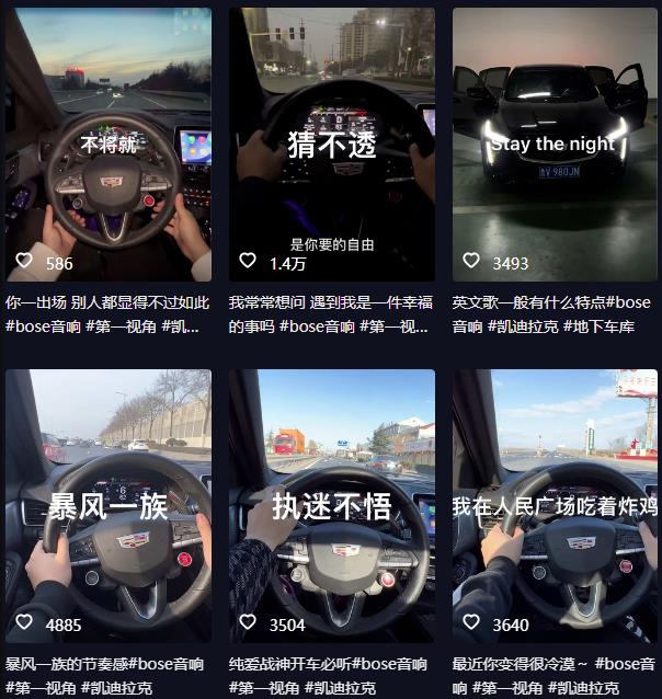 抖音开车视频项目，0基础操作，每天五分钟，月入1W+【揭秘】-资源云