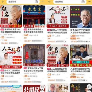 拆解小红书宝宝起名虚拟副业项目,一条龙实操玩法分享给你(教程+软件)-资源云