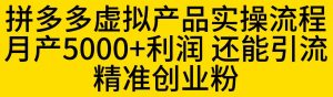 拼多多虚拟产品实操流程，月产5000+利润，还能引流精准创业粉【揭秘】-资源云