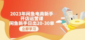 2023年闲鱼电商新手开店运营课:闲鱼新手日出20-30单(18节-实战干货)-资源云