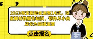2023淘宝数据化运营14式,深度解析数据化知识,帮你从小白成长为高级运营-资源云