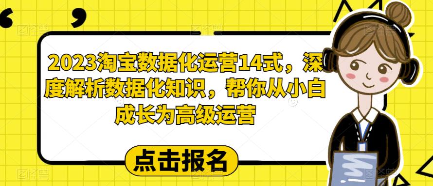 2023淘宝数据化运营14式，深度解析数据化知识，帮你从小白成长为高级运营-资源云