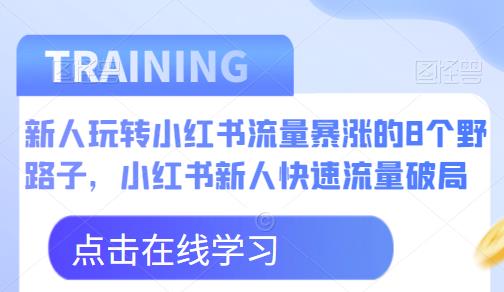 新人玩转小红书流量暴涨的8个野路子，小红书新人快速流量破局-资源云