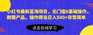 小红书最新蓝海项目,无门槛0基础操作,刚需产品,操作得当日入500+非常简单【揭秘】-资源云