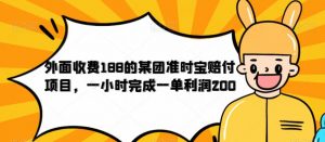 外面收费188的美团准时宝赔付项目,一小时完成一单利润200【仅揭秘】-资源云