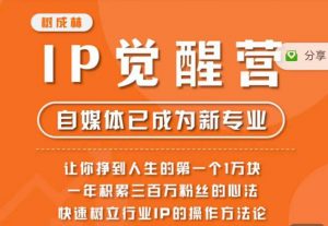 树成林·IP觉醒营,快速树立行业IP的操作方法论,让你赚到人生的第一个1万块(更新)-资源云