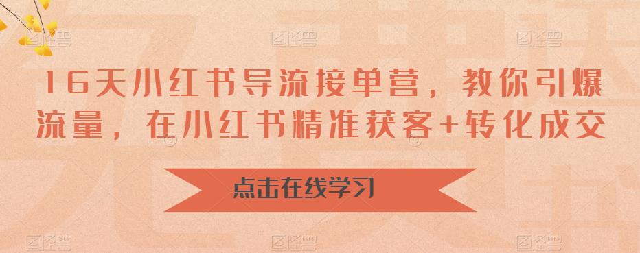 16天小红书导流接单营，教你引爆流量，在小红书精准获客+转化成交-资源云