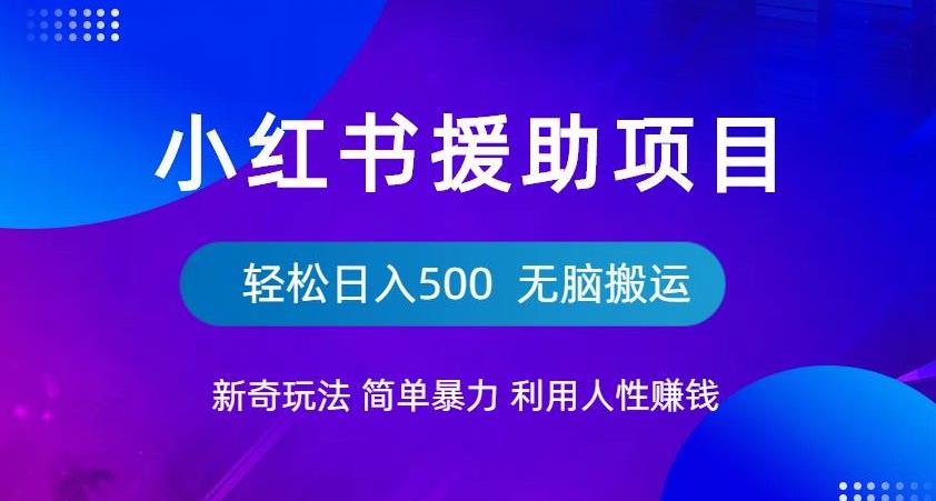 小红书援助项目新奇玩法，简单暴力，无脑搬运轻松日入500【揭秘】-资源云