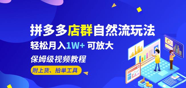拼多多店群自然流玩法，轻松月入1W+保姆级视频教程（附上货、拍单工具）-资源云