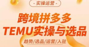 伍跃·跨境拼多多TEMU实操与选品,趋势/选品/运营/入住(27节完整)-资源云