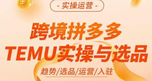 伍跃·跨境拼多多TEMU实操与选品，​趋势/选品/运营/入住（27节完整）-资源云