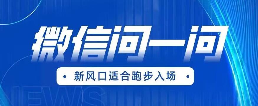 全网首发微信问一问新风口变现项目（价值1999元）【揭秘】-资源云