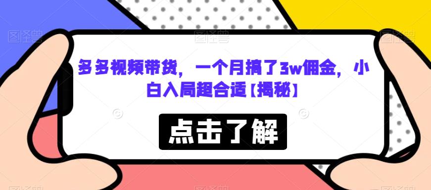多多视频带货，一个月搞了3w佣金，小白入局超合适【揭秘】-资源云