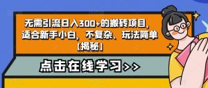 无需引流日入300+的搬砖项目，适合新手小白，不复杂、玩法简单【揭秘】-资源云