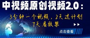 中视频原创视频2.0：3分钟一个视频，2天过计划，7天看效果【揭秘】-资源云