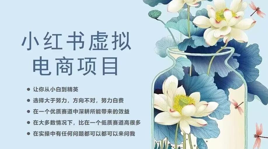 小红书虚拟电商从0到1，让你从小白到精英（20节实操课程）-资源云