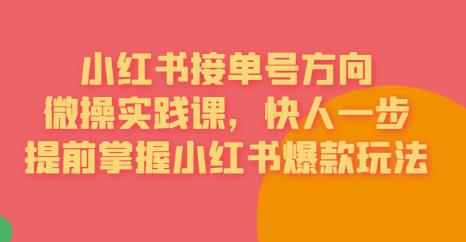 接单号方向·小红书微操实践课，快人一步，提前掌握小红书爆款玩法-资源云