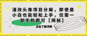 漫改头像项目分解，即使是小白也能轻松上手，仅需一部手机即可【揭秘】-资源云