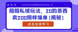 陌陌私域玩法,20的茶西卖200照样爆单【揭秘】-资源云