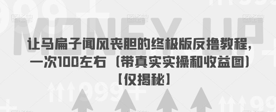 让马扁子闻风丧胆的终极版反撸教程，一次100左右（带真实实操和收益图）【仅揭秘】-资源云