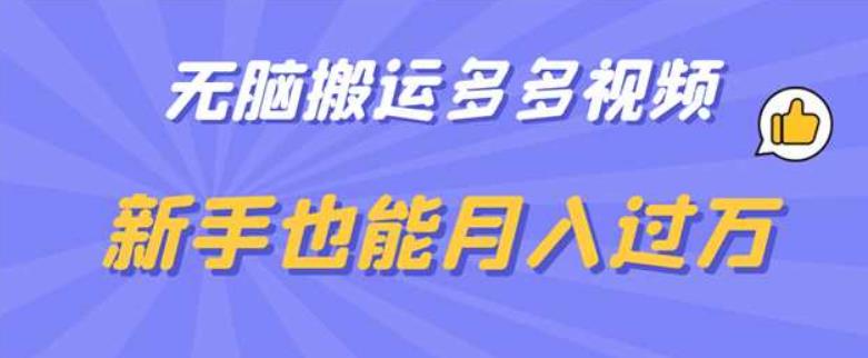 无脑搬运多多视频，新手也能月入过万【揭秘】-资源云