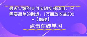 最近火爆的支付宝短视频项目,只需要简单的搬运,1万播放收益300+【揭秘】-资源云