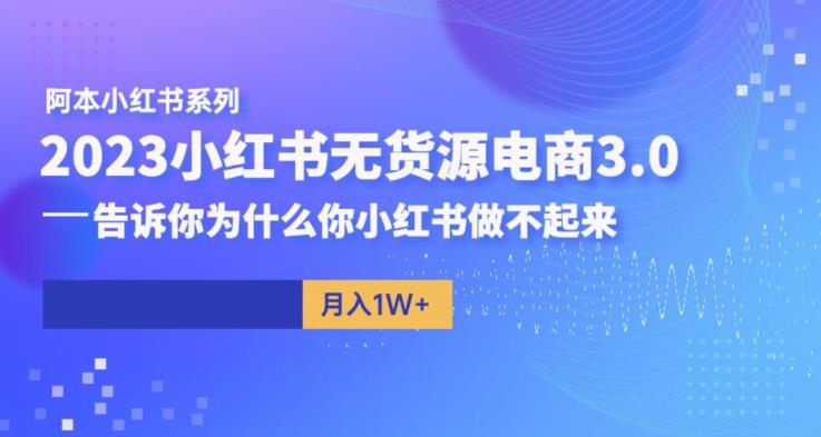 阿本小红书无货源电商3.0，告诉你为什么你小红书做不起来-资源云