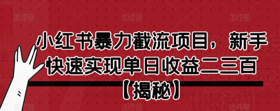 小红书暴力截流项目，新手快速实现单日收益二三百【仅揭秘】-资源云