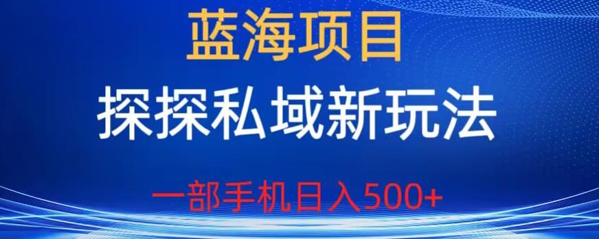 蓝海项目，探探私域新玩法，一部手机日入500+很轻松【揭秘】-资源云