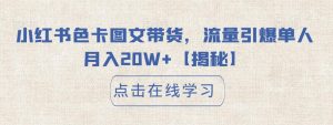 小红书色卡图文带货,流量引爆单人月入20W+【揭秘】-资源云