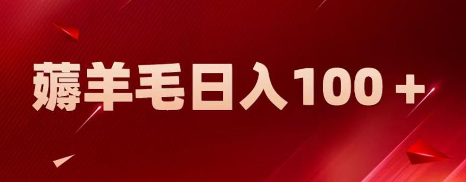 新平台零撸薅羊毛，一天躺赚100＋，无脑复制粘贴【揭秘】-资源云