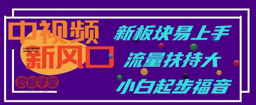 中视频新风口，新板块易上手，流量扶持大，小白起步福音【揭秘】-资源云