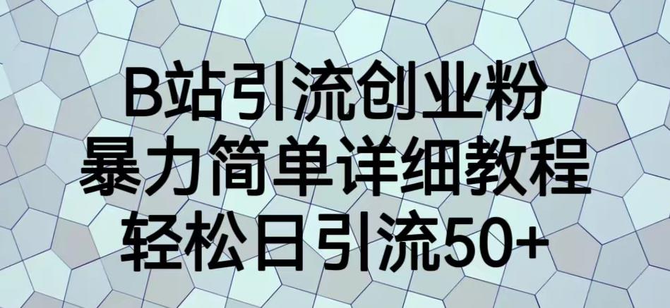 B站引流创业粉，暴力简单详细教程，轻松日引流50+【揭秘】-资源云