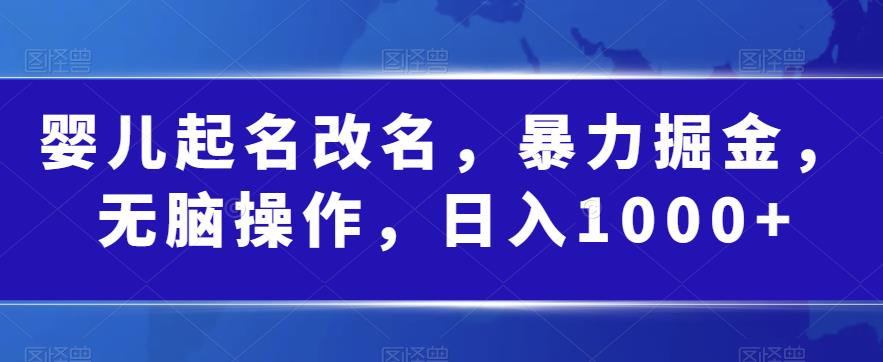 婴儿起名改名，暴力掘金，无脑操作，日入1000+【揭秘】-资源云